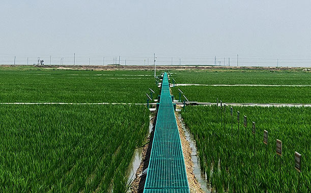 小口徑厚壁無(wú)縫鋼管指的是什么